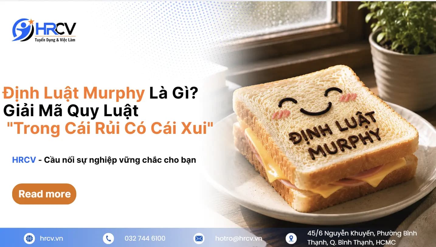 Định Luật Murphy Là Gì? Giải Mã Quy Luật "Trong Cái Rủi Có Cái Xui"
